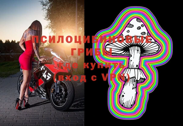 Альфа ПВП Баксан