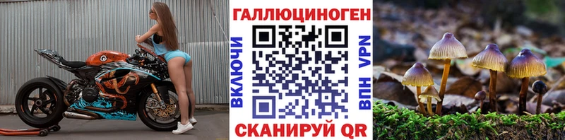 даркнет состав  Южа  Псилоцибиновые грибы MAGIC MUSHROOMS 
